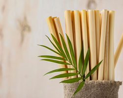 Biopack Bamboo Straws
